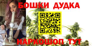 гидра Брянск