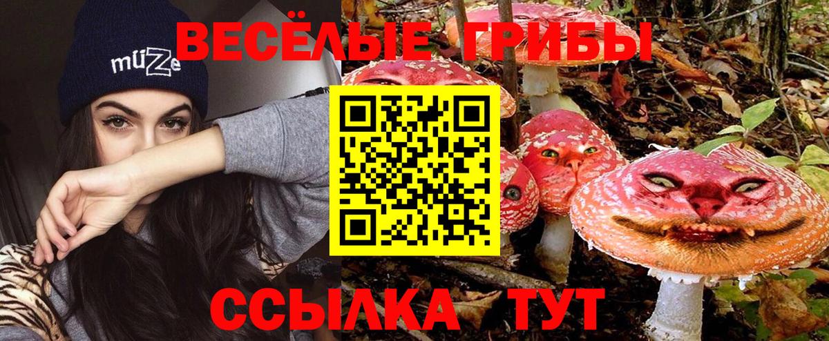 Кувандык  наркошоп  Вход с VPN  Галлюциногенные грибы ЛСД 