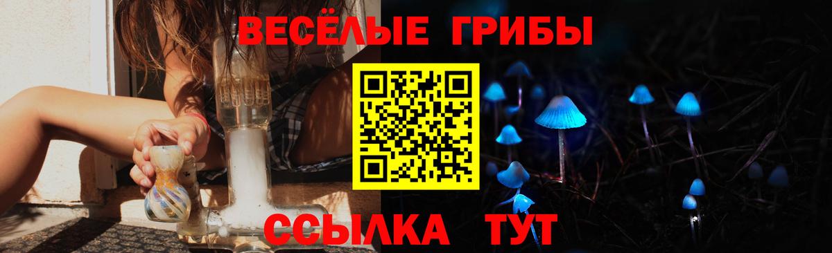 Галлюциногенные грибы прущие грибы Кувандык